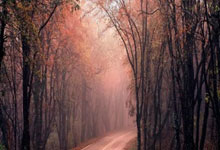 托尼·克罗斯算巨星吗？